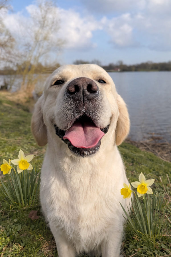 marisilver-ostern-02